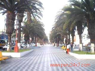 LA ALAMEDA BOLOGNESI