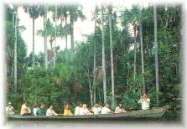 Manu National Park