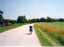 Tatjana biking
