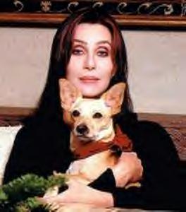 Cher 29