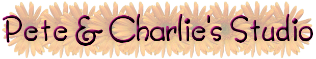 t001.gif (39990 bytes)