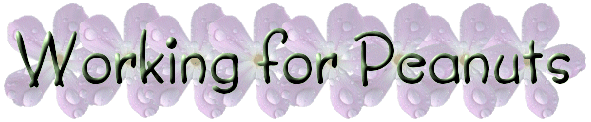 t004.gif (37662 bytes)