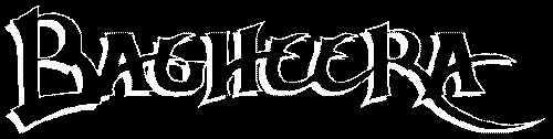 Bagheera Logo