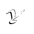 Y