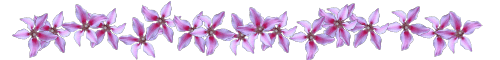 ClemTex01.gif (13107 bytes)