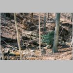 peterblaise-2004021427-17-768x.jpg
