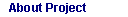 Project Description