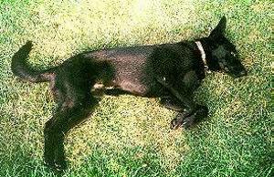 bram3