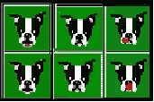 Cursors