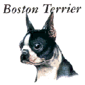 Boston