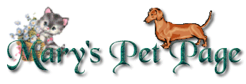 Welcome To My Site