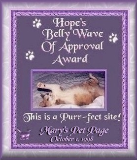 Hope's Award