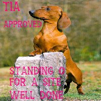 Tia's Award