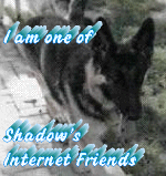 Shadow