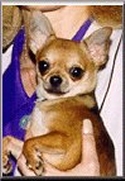 Tex