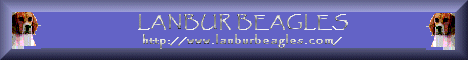 lanban2.gif (6436 bytes)
