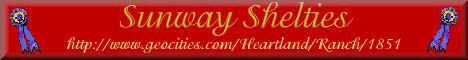 swbanner.jpg (9904 bytes)
