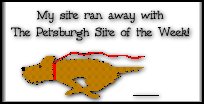 Site of the week