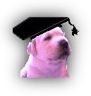 QuizPup!