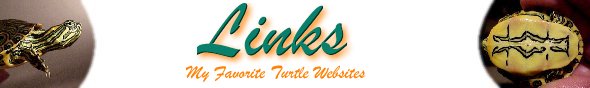 Turtle Links