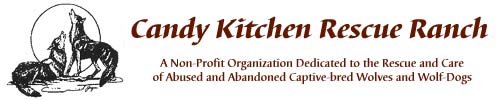 Candykitchen
