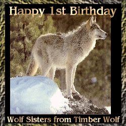 Wolfsisterhood