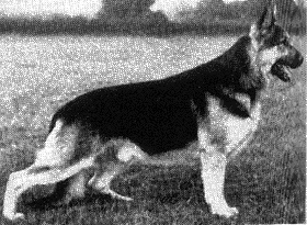 FentonofKentwood.gif (29761 bytes)