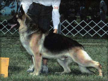 StuttgartsSundanceKid.jpg (57689 bytes)
