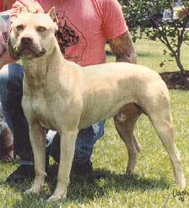 Cochise
