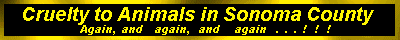 Cruelty Banner