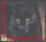 Stop the Cruelty - Remember Olivia