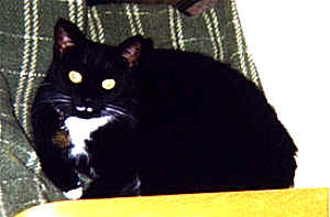 Sabrina