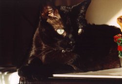 Smudge