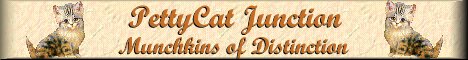 PettyCat Junction/Munchkins of Distinction