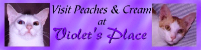 Violet's Place, a place for Cats and Cat Lovers