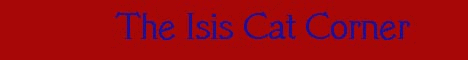 Banner.gif (15803 bytes)