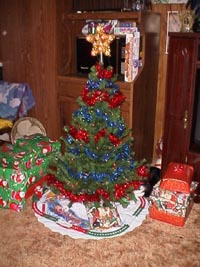 Boogiexmas1.JPG (24461 bytes)