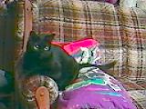 Isis_C.jpg (7032 bytes)