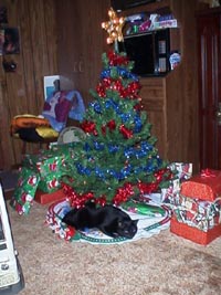 Isisxmas3.JPG (23980 bytes)