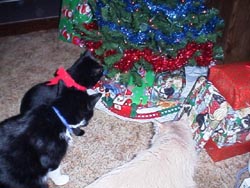Isisxmas5.JPG (23239 bytes)