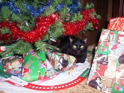 Isisxmas7.JPG (28669 bytes)