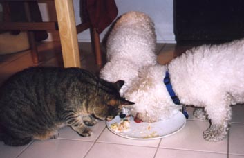 finmocoeating.jpg (46811 bytes)