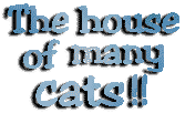 The house of many cats