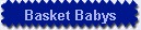 Basket Babys