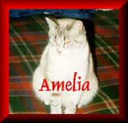 Amelia