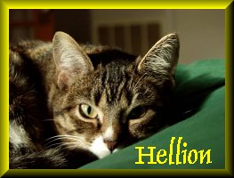 Hellion