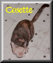 Cosette