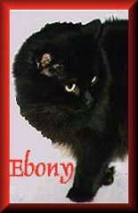 Ebony