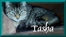 Tasha