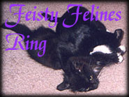 Feisty 
Felines Ring